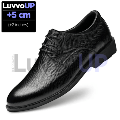 Get Luvvo Height-Increasing Shoes Crocodile / (2 inches - 5 cm) / 5.5 LuvvoUP PRESTIGE Height-Boosting Casual Shoes