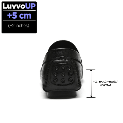 Get Luvvo Height-Increasing Shoes LuvvoUP HERITAGE Casual Height-Boosting Leather Shoes